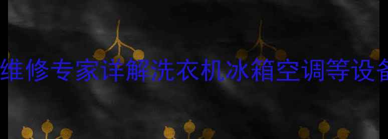 9300故障代码R1家电维修专家详解洗衣机冰箱空调等设备故障排查与修复指南