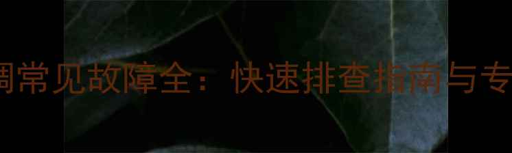 NT21A11空调常见故障全快速排查指南与专业维修技巧