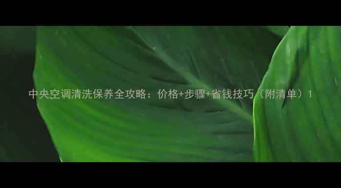 图片 中央空调清洗保养全攻略：价格+步骤+省钱技巧（附清单）1