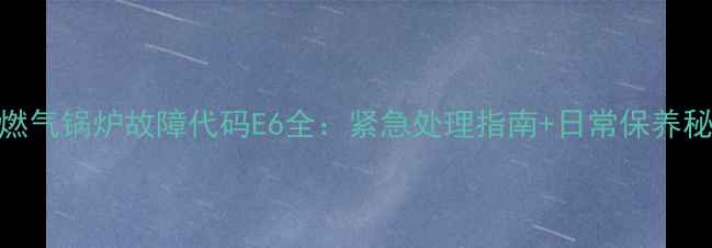 天燃气锅炉故障代码E6全紧急处理指南日常保养秘籍