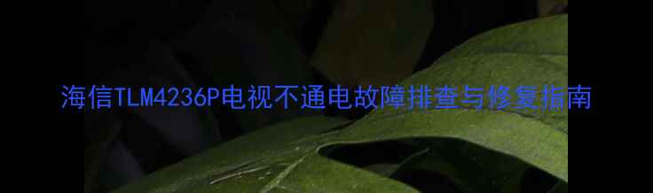 图片 海信TLM4236P电视不通电故障排查与修复指南