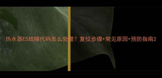 图片 热水器E5故障代码怎么处理？复位步骤+常见原因+预防指南2