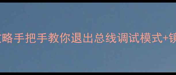 图片 📺TCL液晶电视镜像问题全攻略手把手教你退出总线调试模式+镜像修复技巧（附操作视频）