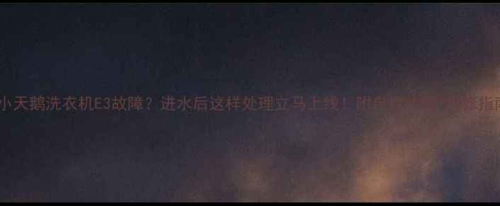 小天鹅洗衣机E3故障进水后这样处理立马上线附自检步骤维修指南