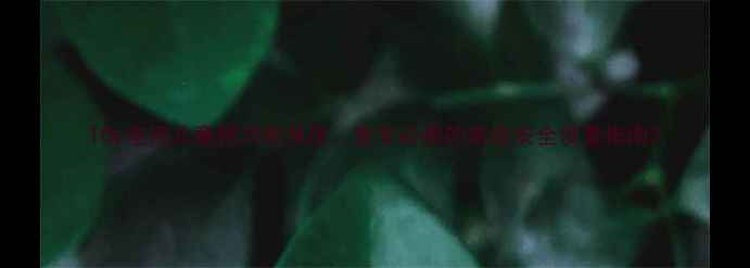 图片 TCL电视儿童锁功能深度：家长必看的家庭安全设置指南2