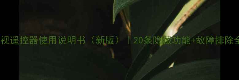 图片 ✨厦华电视遥控器使用说明书（新版）｜20条隐藏功能+故障排除全攻略🔧1