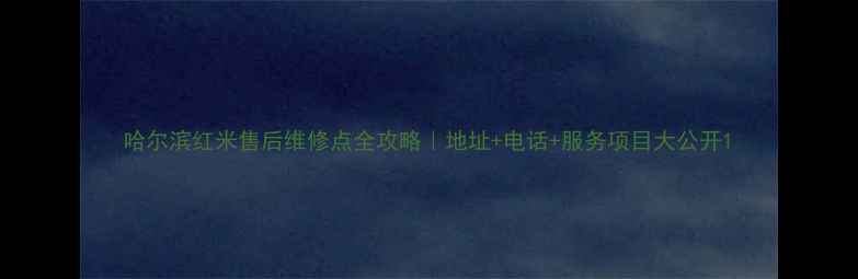 图片 哈尔滨红米售后维修点全攻略｜地址+电话+服务项目大公开1
