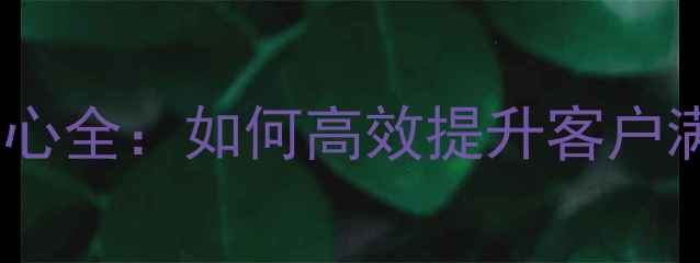 家电售后服务配送中心全如何高效提升客户满意度与物流效率