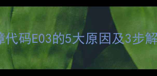 图片 新乐滚筒洗衣机故障代码E03的5大原因及3步解决指南（最新版）1