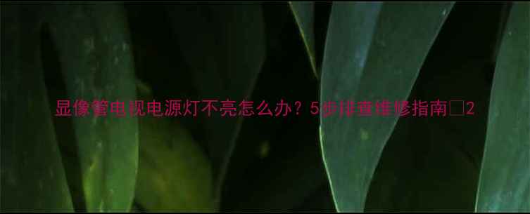图片 显像管电视电源灯不亮怎么办？5步排查维修指南🔧2