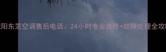 图片 沈阳东芝空调售后电话：24小时专业维修+故障处理全攻略