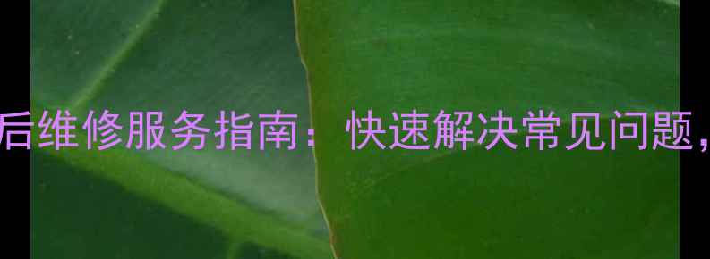 漯河苏泊尔豆浆机售后维修服务指南快速解决常见问题保障您的厨房效率