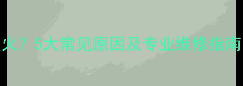 图片 电热水器无法点火？5大常见原因及专业维修指南（附解决步骤）