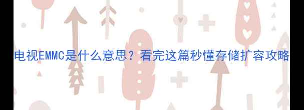 电视EMMC是什么意思看完这篇秒懂存储扩容攻略