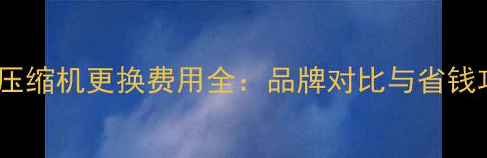 图片 空调压缩机更换费用全：品牌对比与省钱攻略2