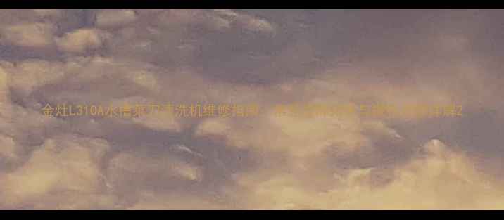 图片 金灶L310A水槽菜刀清洗机维修指南：常见故障排除与操作步骤详解2