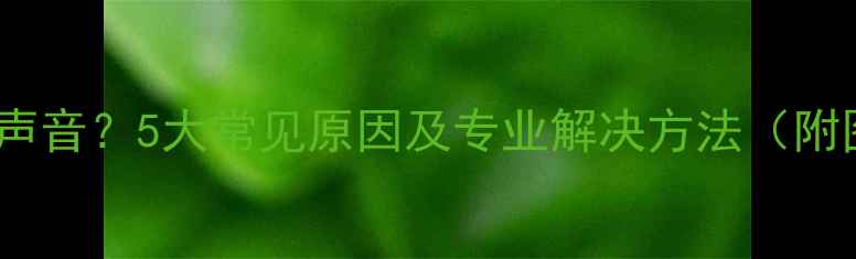 图片 长虹电视无声音？5大常见原因及专业解决方法（附图文教程）1