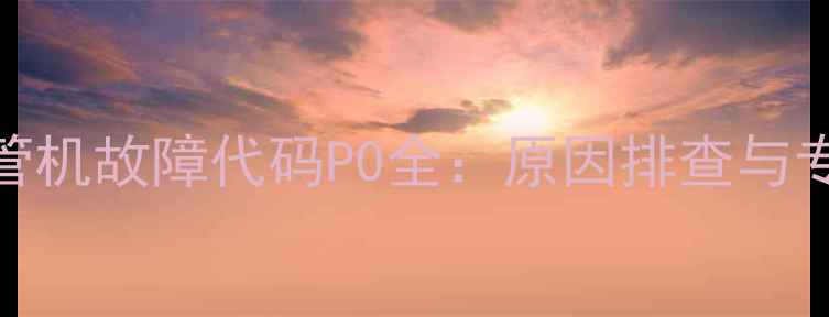 图片 麦克维尔风管机故障代码P0全：原因排查与专业维修指南