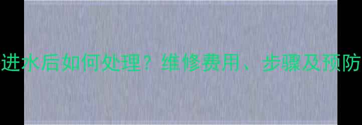 图片 📱💦深度iPhone14Pro进水后如何处理？维修费用、步骤及预防指南，附赠实用技巧2