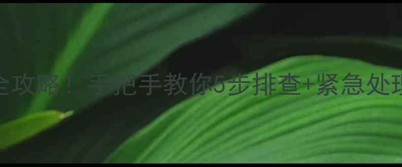 图片 🔥奇田热水器故障代码E9全攻略！手把手教你5步排查+紧急处理指南（附官方维修电话）