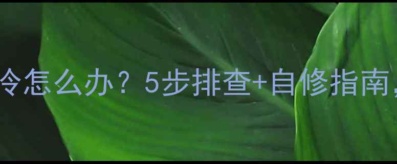 图片 🔥格力空调不制冷怎么办？5步排查+自修指南，省下维修费！1